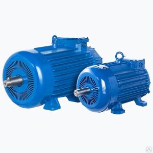 Эл.двигатель 5МТКН 312-6 IM 1001