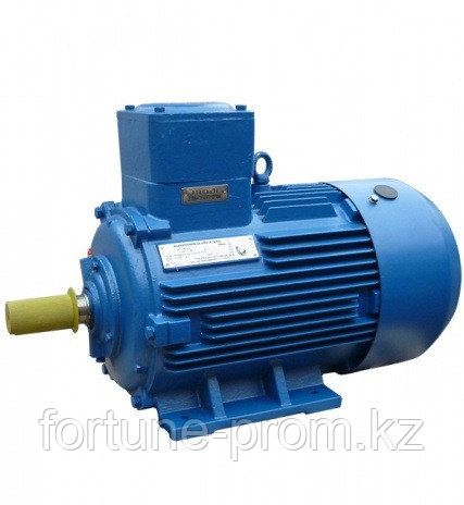 Электродвигатель 200 М6  IM 1001 22/1000