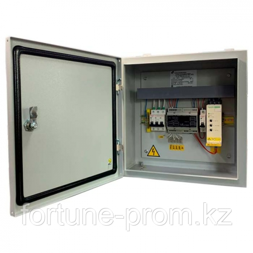 СУЗ 40 Родник