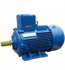 Электродвигатель 200 М6 IM 1001 22/1000