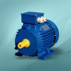 Электродвигатель АИР100L2 (5,5кВт/3000об/мин/IM1081)