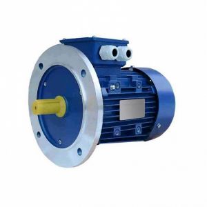 Электродвигатель  112 МВ6  IM 3081 4/1000