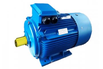 Электродвигатель АИР 250 S6 (45 кВт, 1000 об/мин) IM 1081 / IM 2081 / IM 3081