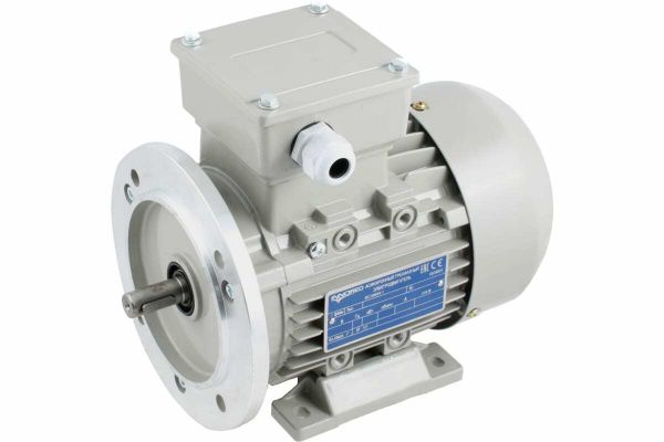 Электродвигатель трёхфазный асинхронный INNORED (0.75 кВт 900 об/мин) 200"24мм, на лапах, схема включения "звезда"/"треугольник" (380В/220В), IP55 RM90S-6 B35