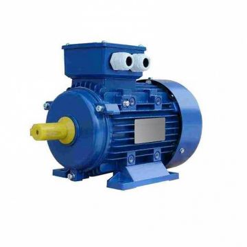 Электродвигатель АИР 100 L6 (2.2 кВт, 1000 об/мин) IM 1081 (на лапах)