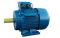 Электродвигатель 5АИ 200 М6 22/1000 IM 1001