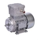 Электродвигатель АИР 100 L4 (4 кВт, 1500 об/мин) IM 2081 (комби: лапы + фланец)