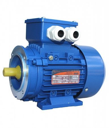 Электродвигатель 5АИ 63 В2 FT100  IM 2181 0.55/3000