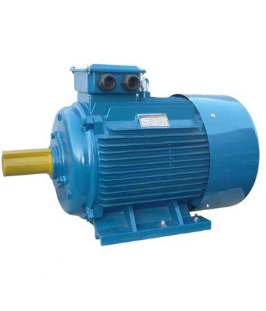 Эл.двигатель 5АИ 225 М2  IM 1001 55/3000