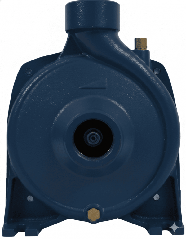 Насос Pedrollo HFM 70B (1.5 кВт, 230 В)