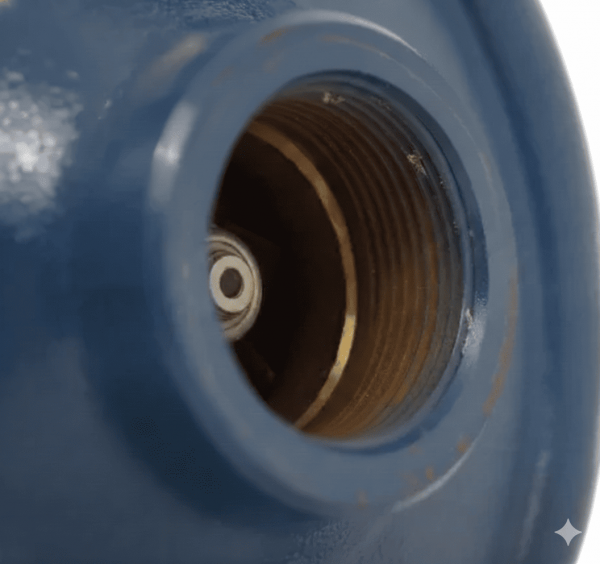 Насос Pedrollo HFM 70B (1.5 кВт, 230 В)