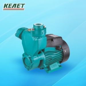 Вихревой насос APSm37