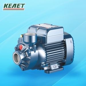 Насос PKm60 230В 0,3кВт