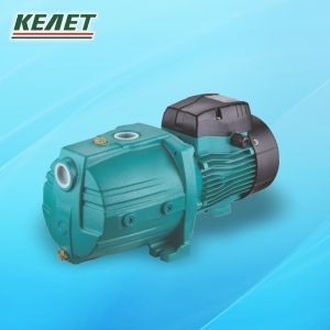 Насос 3ACm60 230В 0,6кВт