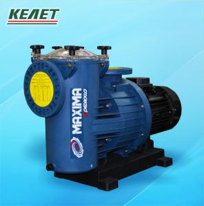 Бассейновый насос бассейновый MAXIMA 4/750, В