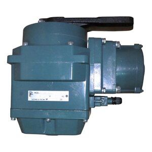 Механизм МЭО-100/25-0,25М-99, У2