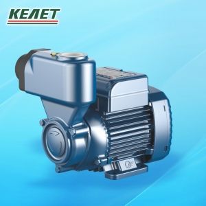 Вихревой насос PKSm60