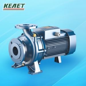 Насос F80/250B 400/690В 45кВт без фланца